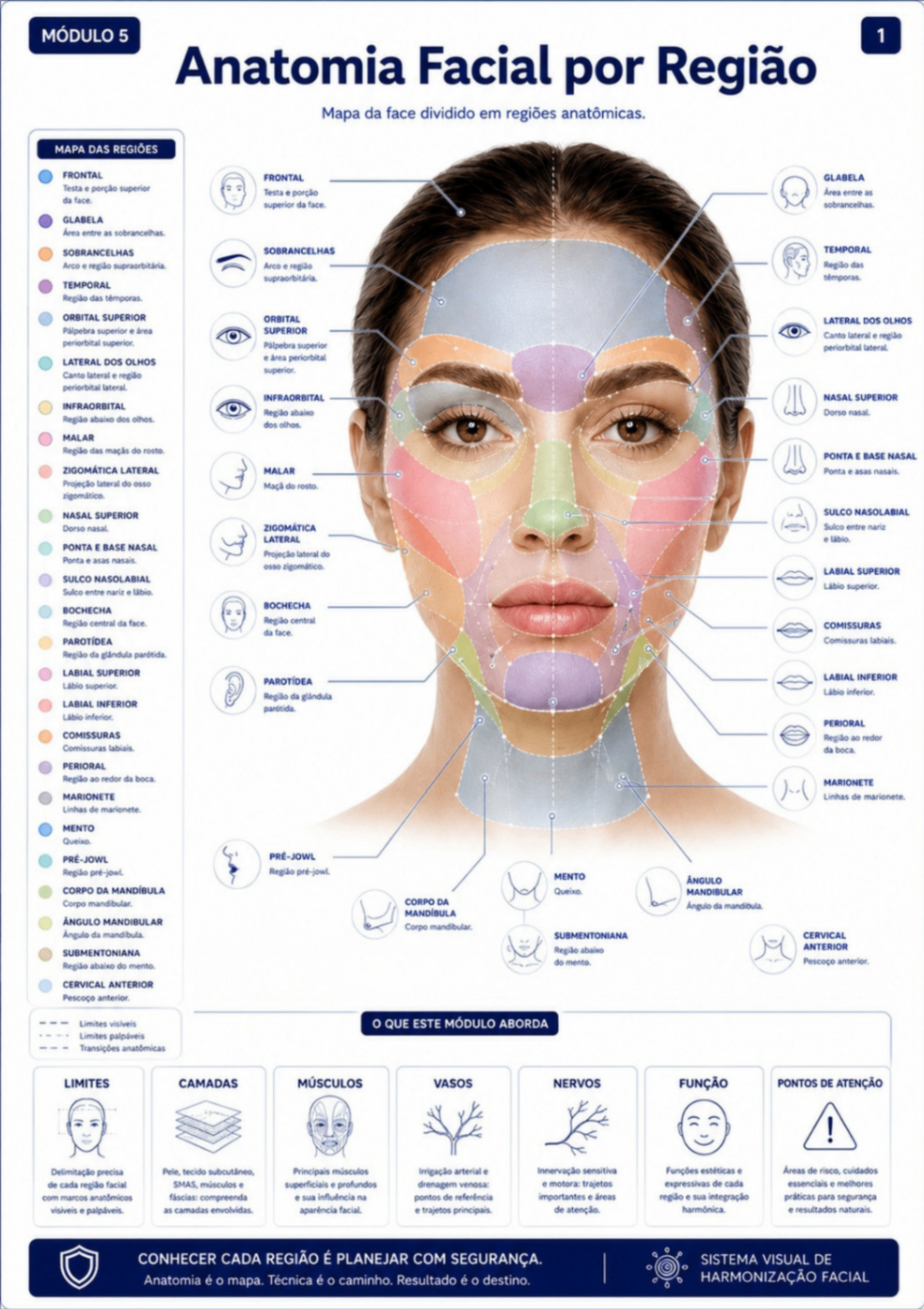 Anatomia Facial por Região
