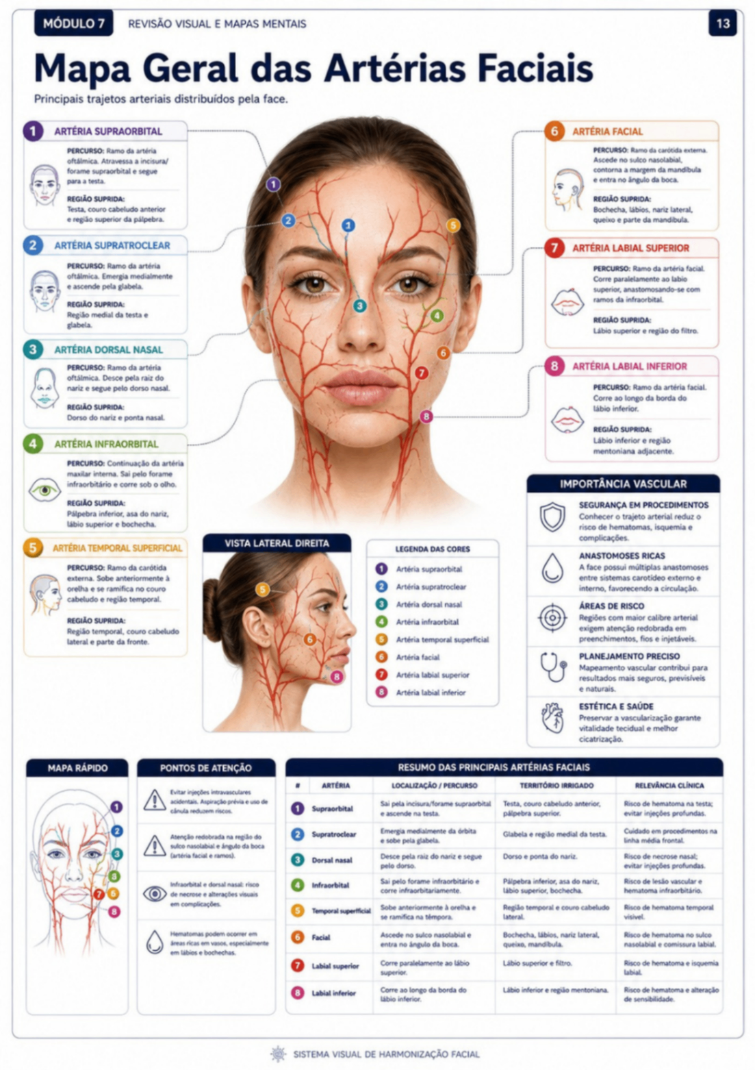Mapa das Artérias Faciais