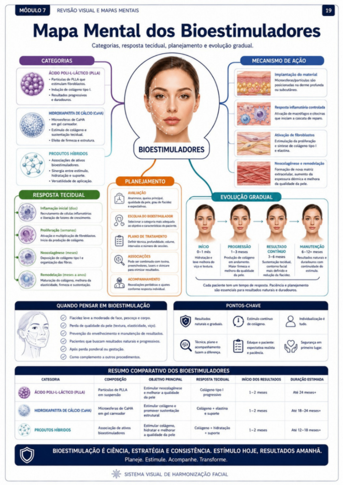 Mapa Mental — Bioestimuladores