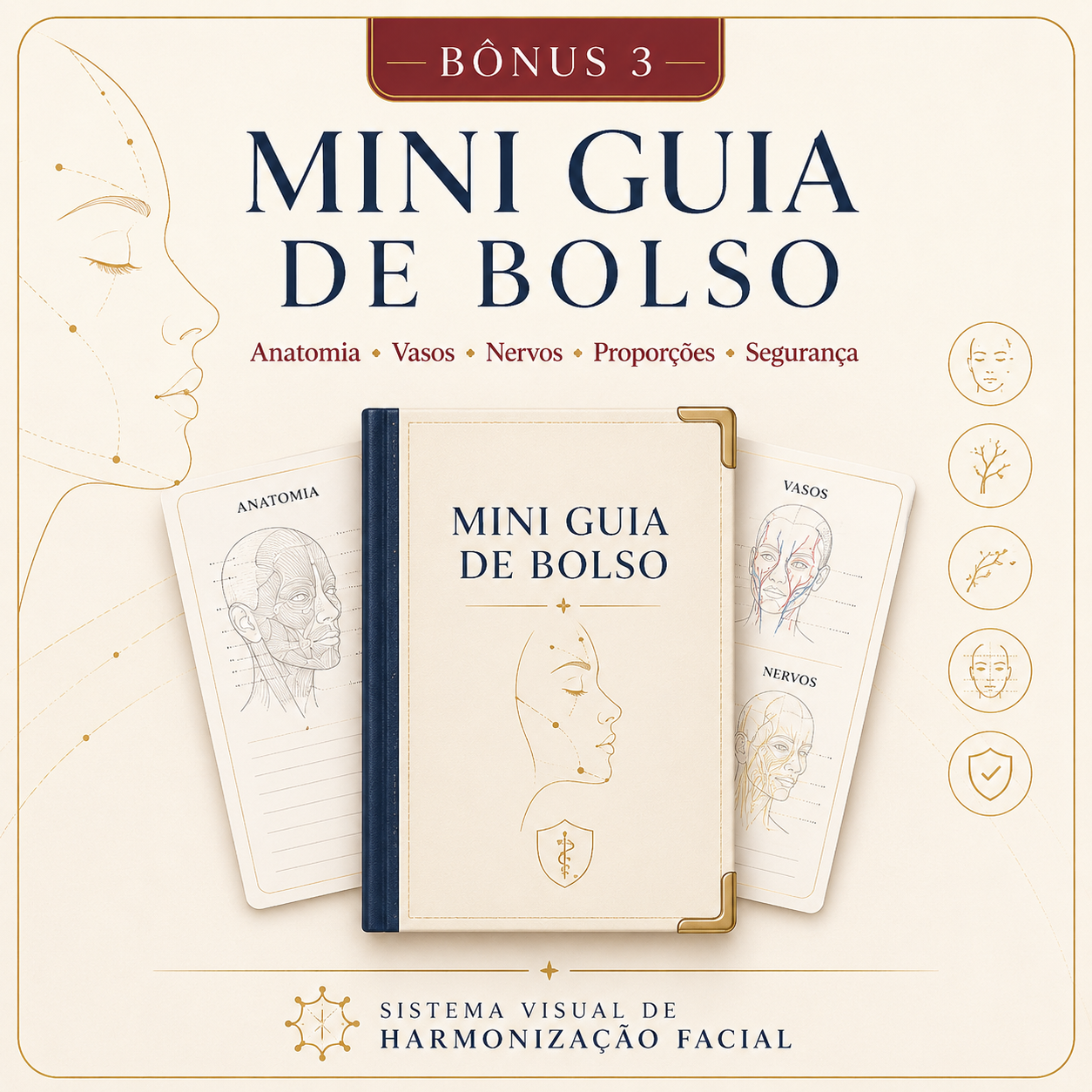 Bônus 3 — Mini Guia de Bolso